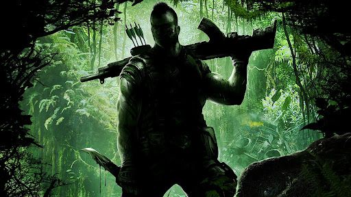 Turok (2008)