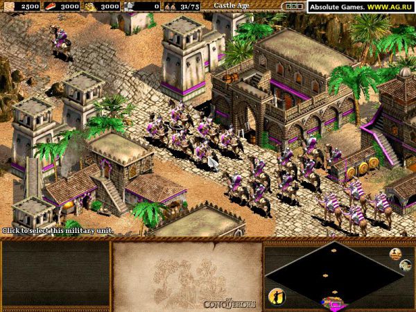 Age of Empires II: The Conquerors